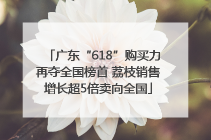广东“618”购买力再夺全国榜首 荔枝销售增长超5倍卖向全国