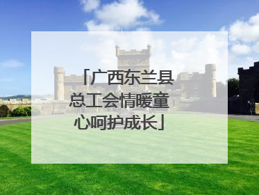 广西东兰县总工会情暖童心呵护成长