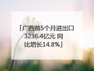 广西前5个月进出口3236.4亿元 同比增长14.8%