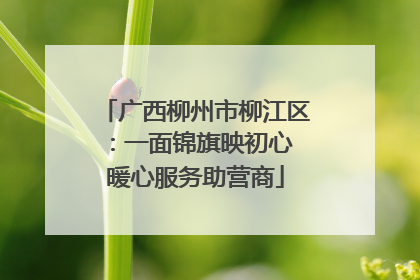 广西柳州市柳江区：一面锦旗映初心 暖心服务助营商