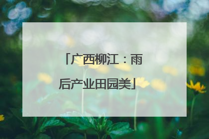 广西柳江：雨后产业田园美
