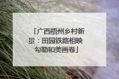 广西梧州乡村新景：田园铁路相映 勾勒和美画卷