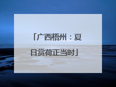 广西梧州：夏日赏荷正当时