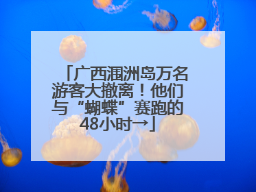 广西涠洲岛万名游客大撤离！他们与“蝴蝶”赛跑的48小时→