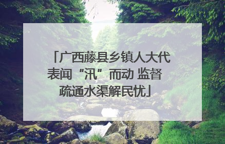 广西藤县乡镇人大代表闻“汛”而动 监督疏通水渠解民忧