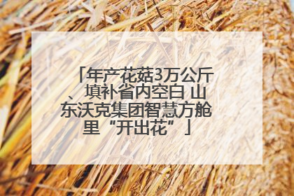 年产花菇3万公斤、填补省内空白 山东沃克集团智慧方舱里“开出花”
