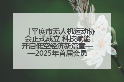 平度市无人机运动协会正式成立 科技赋能开启低空经济新篇章——2025年首届会员大会暨无人机应用发展论坛成功举办