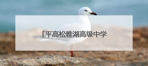 平高松雅湖高级中学：AI赋能，让每个孩子都是“重点学生”
