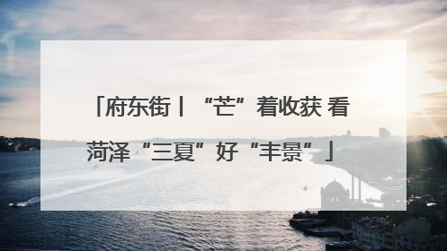 府东街丨“芒”着收获 看菏泽“三夏”好“丰景”