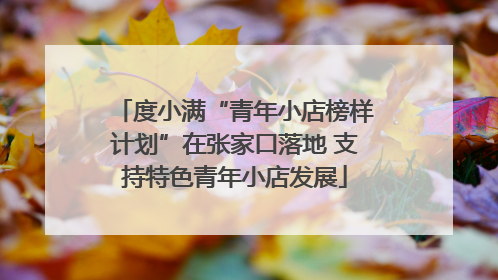 度小满“青年小店榜样计划”在张家口落地 支持特色青年小店发展