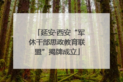 延安·西安“军休干部思政教育联盟”揭牌成立