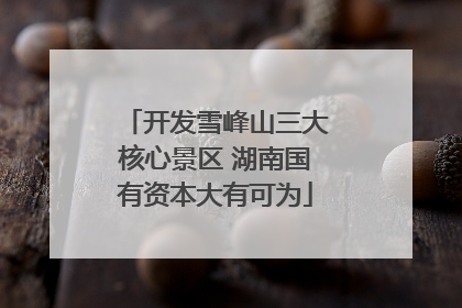 开发雪峰山三大核心景区 湖南国有资本大有可为