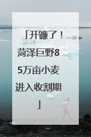 开镰了！菏泽巨野85万亩小麦进入收割期