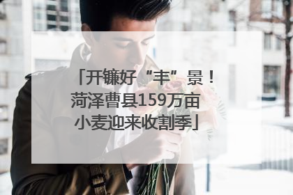 开镰好“丰”景！菏泽曹县159万亩小麦迎来收割季