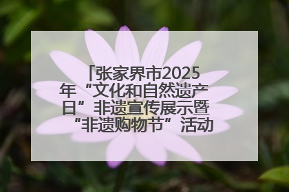 张家界市2025年“文化和自然遗产日”非遗宣传展示暨“非遗购物节”活动在慈利县盛大启幕