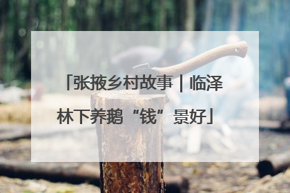 张掖乡村故事｜临泽林下养鹅“钱”景好