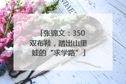 张锦文：350双布鞋，踏出山里娃的“求学路”