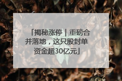 揭秘涨停｜重磅合并落地，这只股封单资金超30亿元