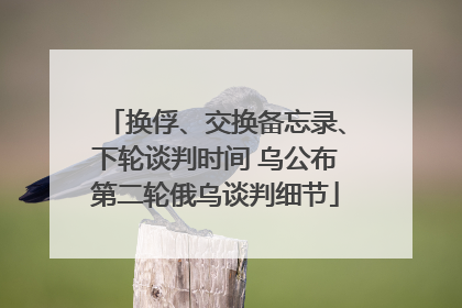 换俘、交换备忘录、下轮谈判时间 乌公布第二轮俄乌谈判细节