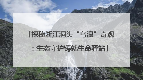 探秘浙江洞头“鸟浪”奇观：生态守护铸就生命驿站