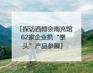 探访西博会南充馆 62家企业携“拳头”产品参展