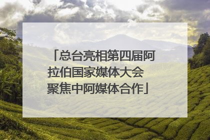总台亮相第四届阿拉伯国家媒体大会 聚焦中阿媒体合作