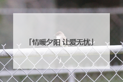 情暖夕阳 让爱无忧