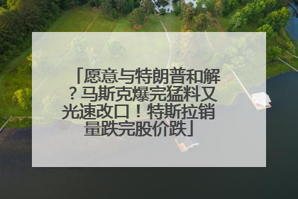 愿意与特朗普和解？马斯克爆完猛料又光速改口！特斯拉销量跌完股价跌