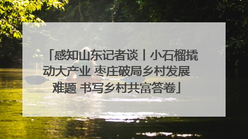 感知山东记者谈丨小石榴撬动大产业 枣庄破局乡村发展难题 书写乡村共富答卷