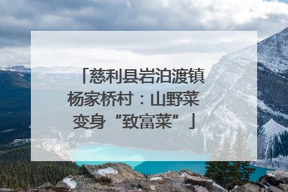 慈利县岩泊渡镇杨家桥村：山野菜变身“致富菜”