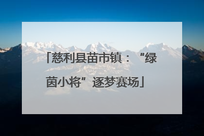 慈利县苗市镇：“绿茵小将”逐梦赛场