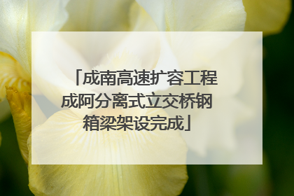 成南高速扩容工程成阿分离式立交桥钢箱梁架设完成