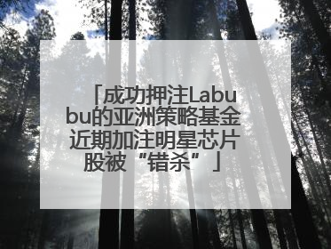 成功押注Labubu的亚洲策略基金 近期加注明星芯片股被“错杀”