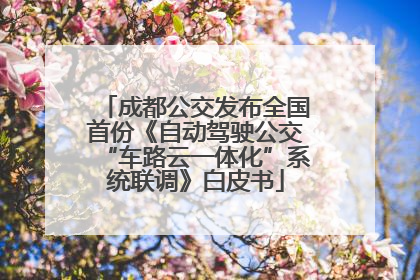 成都公交发布全国首份《自动驾驶公交“车路云一体化”系统联调》白皮书