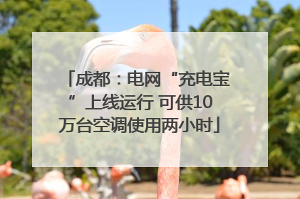成都：电网“充电宝”上线运行 可供10万台空调使用两小时