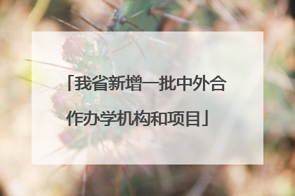 我省新增一批中外合作办学机构和项目