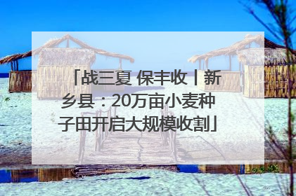 战三夏 保丰收丨新乡县：20万亩小麦种子田开启大规模收割