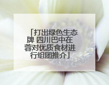 打出绿色生态牌 四川巴中在蓉对优质食材进行组团推介