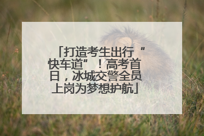 打造考生出行“快车道”！高考首日，冰城交警全员上岗为梦想护航