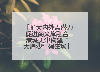 扩大内外需潜力 促进商文旅融合 港城天津构建“大消费”强磁场
