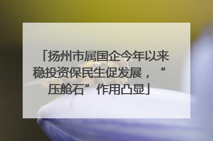 扬州市属国企今年以来稳投资保民生促发展，“压舱石”作用凸显