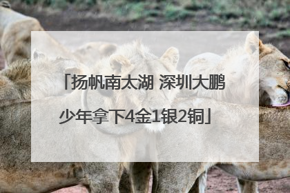 扬帆南太湖 深圳大鹏少年拿下4金1银2铜