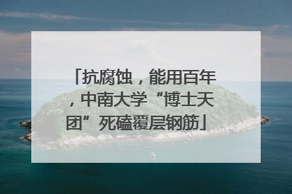 抗腐蚀，能用百年，中南大学“博士天团”死磕覆层钢筋