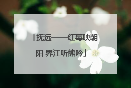 抚远——红莓映朝阳 界江听熊吟