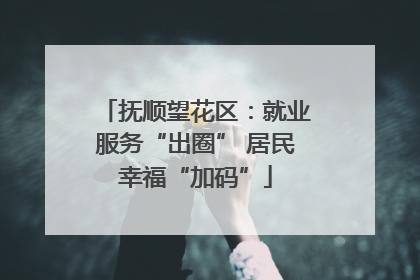 抚顺望花区：就业服务“出圈” 居民幸福“加码”