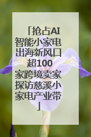 抢占AI智能小家电出海新风口 超100家跨境卖家探访慈溪小家电产业带
