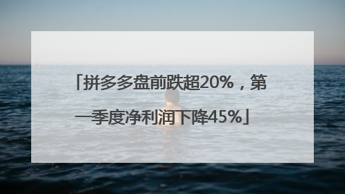 拼多多盘前跌超20%，第一季度净利润下降45%