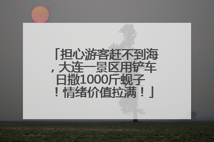 担心游客赶不到海，大连一景区用铲车日撒1000斤蚬子！情绪价值拉满！
