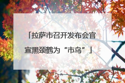 拉萨市召开发布会官宣黑颈鹤为“市鸟”