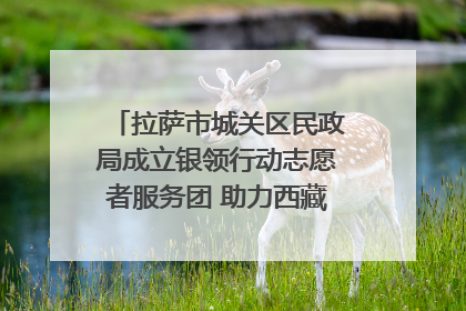 拉萨市城关区民政局成立银领行动志愿者服务团 助力西藏银发经济发展